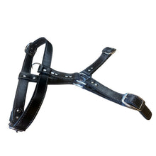 Load image into Gallery viewer, Leather Dog Harness
