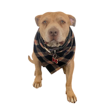 Load image into Gallery viewer, Shaggy Flannel Dog Bandana, Blue &amp; Beige Plaid
